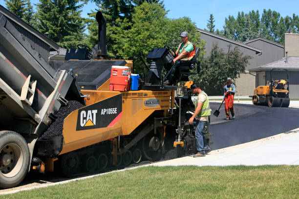 Best Driveway Paving Contractor  in Bisbee, AZ